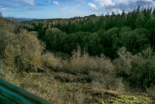 Development in Exeter photo